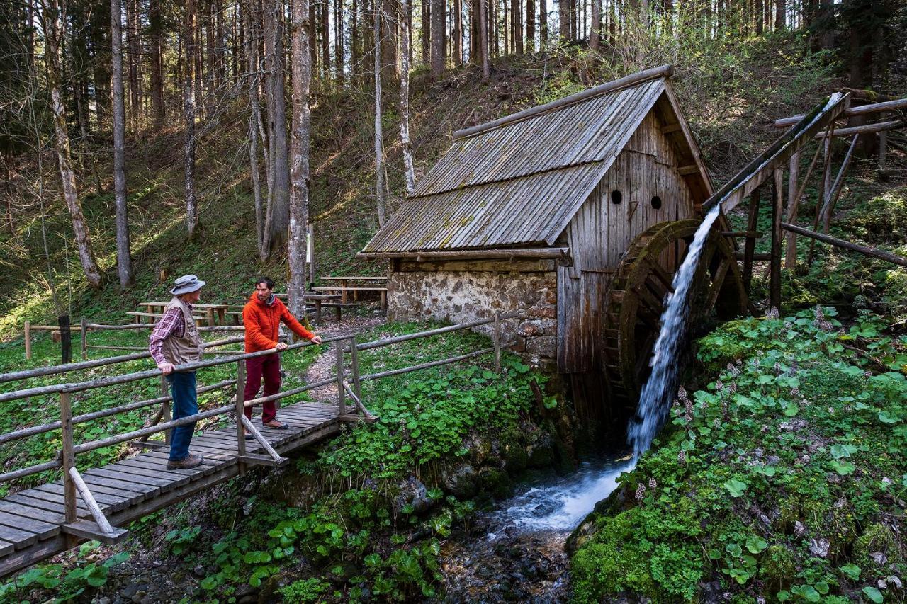 Glamping Forest Edge Камник Экстерьер фото